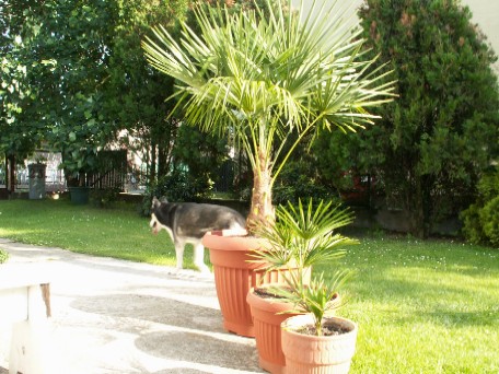 Pict0002.jpg