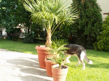 Pict0001.jpg