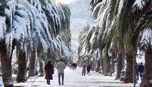 promenada plme sul neve.jpg