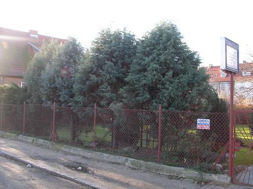 cyprys a. g. gdansk WRZESZCZ.JPG