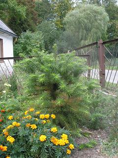 koniec wrzesnia 2007.JPG