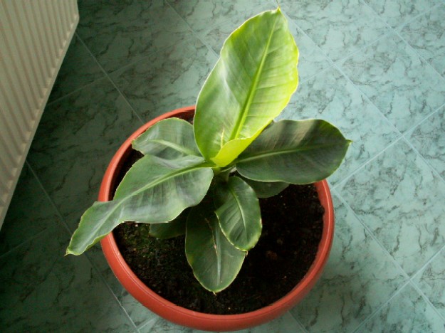 Pict0816.jpg