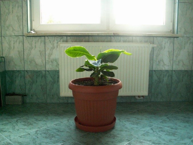 Pict0920.jpg