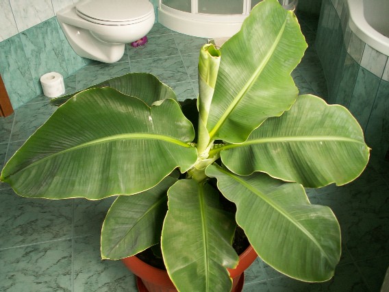 Pict1038.jpg