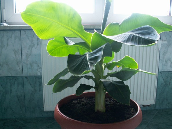 Pict1039.jpg