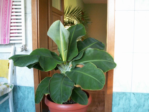 Pict1098.jpg