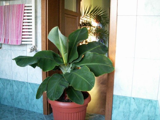 Pict1100.jpg