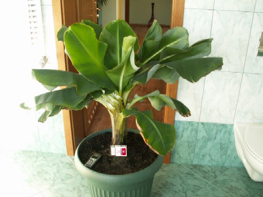 Pict0043.jpg