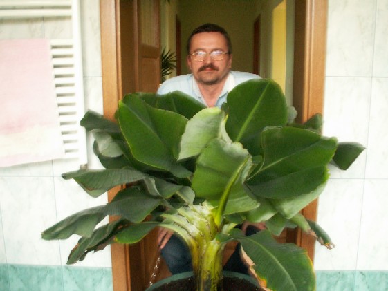 Pict0068.jpg