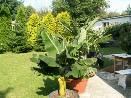 Pict0024.jpg
