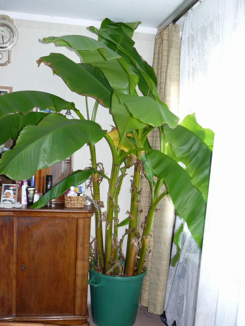 P1010761.JPG