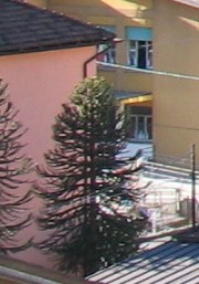 w 094.jpg