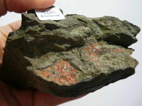 03 Realgar 01_2.JPG