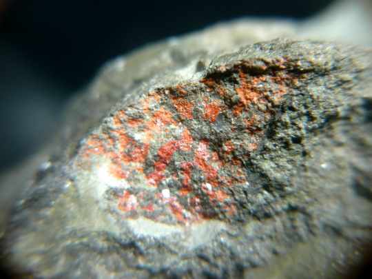 03 Realgar 02_2.JPG