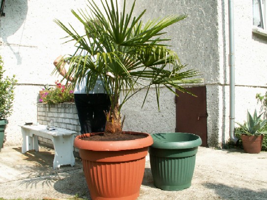 Pict1089.jpg