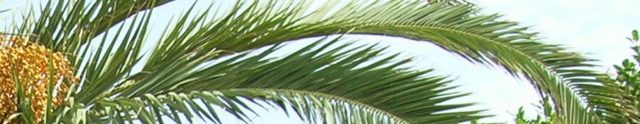 li