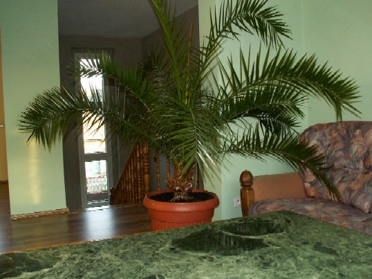Pict1101.jpg