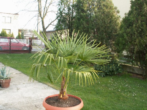 Pict0003.jpg