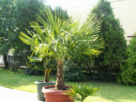 Pict0023.jpg