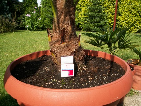 Pict0028.jpg