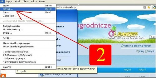 dodawaniezdjecnaforum2a.JPG