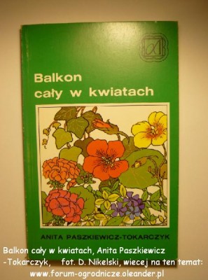 Balkon cały w kwiatach.JPG