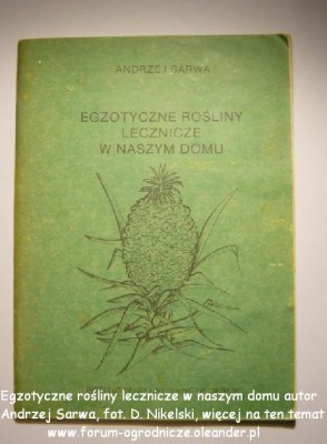 Egzotyczne rośliny lecznicze w naszym domu autor Andrzej Sarwa.JPG