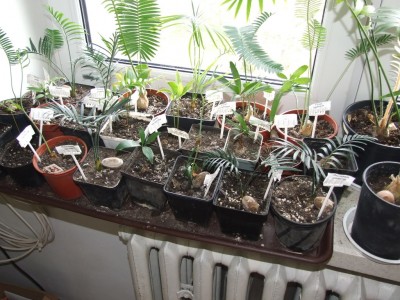 2008_0420marzeckwiecien0158.jpg