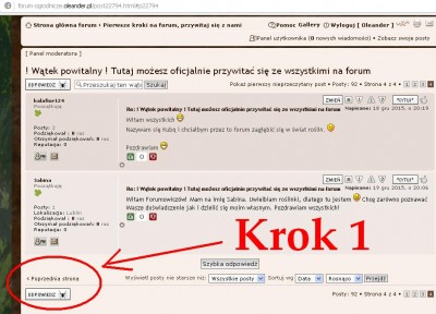 krok 1.JPG