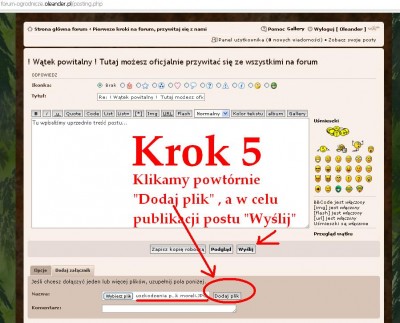 krok 5.JPG