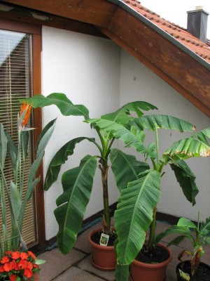 kbiegan1fa66929011a19f45.jpg