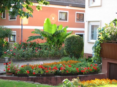 kbiegan3ec6460923c87aa5c.jpg