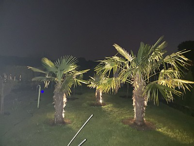 IMG_20220507_211851.jpg