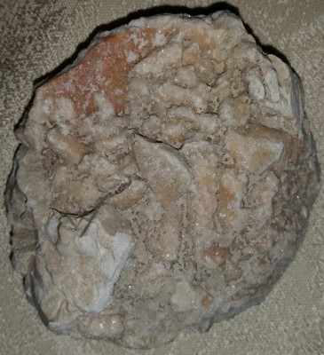 xKoralowiec z Dolomitów strona B.jpg