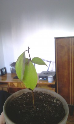 IMAG0410.jpg