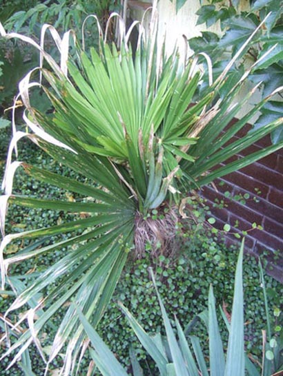 DSCF2261 [Rozdzielczo