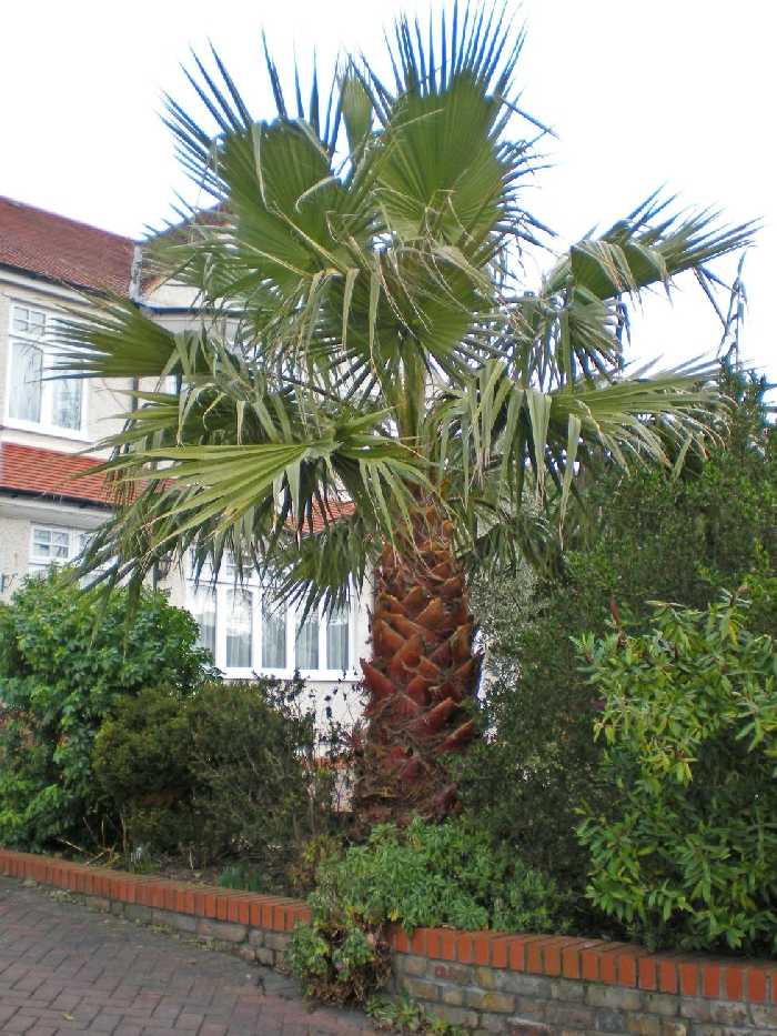 washy blisko Londynu-du