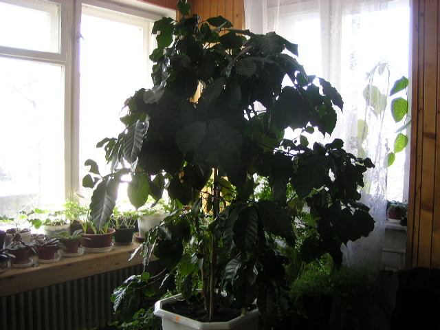 2006.04.02- 005.jpg