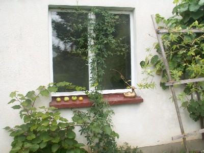 Pict0008.jpg