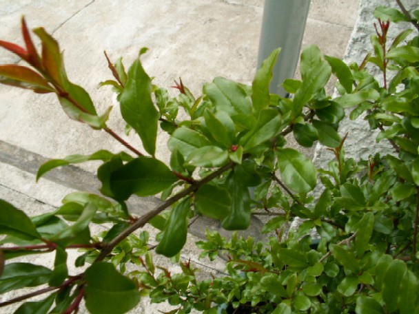 Pict0785.jpg