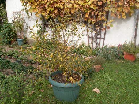 Pict1258.jpg