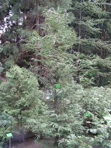 PICT0100b_2.jpg