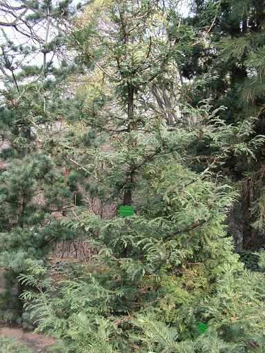 PICT0099a_2.jpg