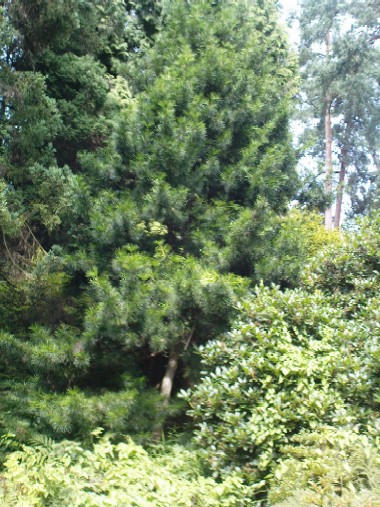 Dsc00582.jpg