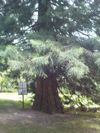 Dsc00589.jpg