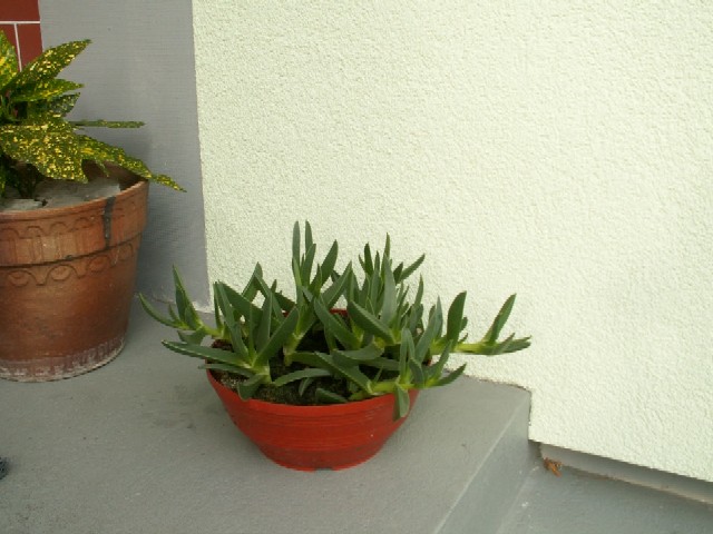 Pict0111.jpg