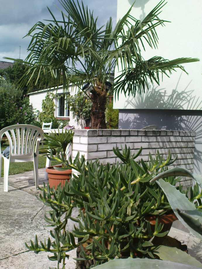 DSC00700.JPG
