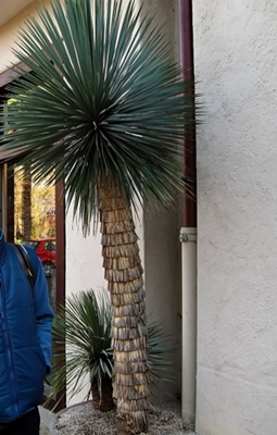 Neckarteiflingen - KirchheimTeck 02.04.2010 060_filtered.jpg