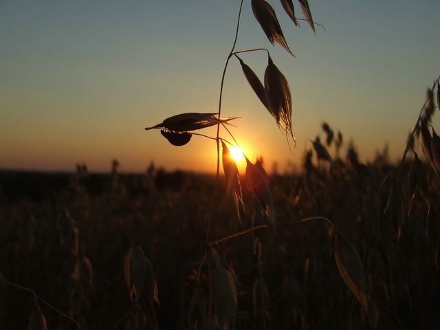 DSCF8771 [640x480].JPG