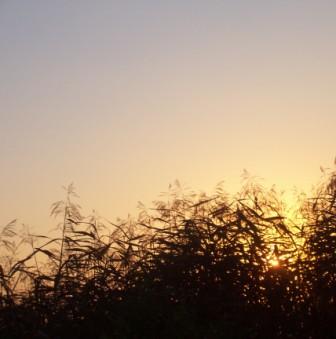 100_0134.JPG